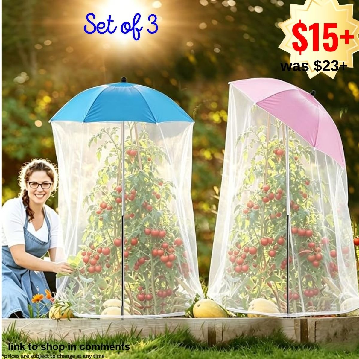 Plant Umbrellas