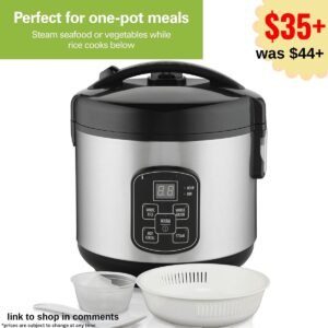 Digital Programmable Rice Cooker