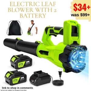 Electric Leaf Blower with 2 4.0Ah Battery