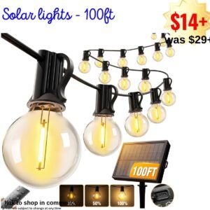 Solar Lights - 100ft