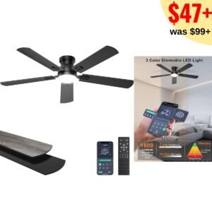 Ceiling Fans with Lights
