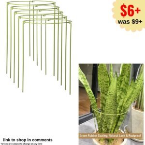 5-Pack Heavy Duty Plant Support Stakes