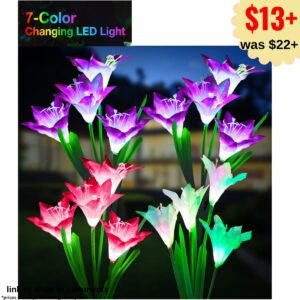 Outdoor Solar Lights, 4 Pack