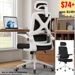 Ergonomic Office Chair