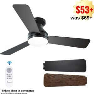 Ceiling Fans with Lights
