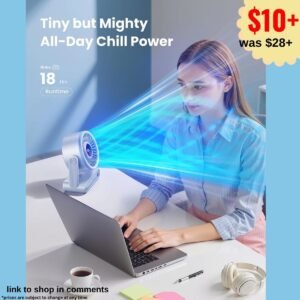 Portable Quiet Desk Fan