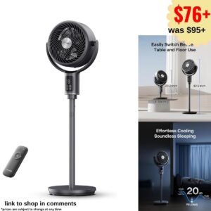 Pedestal Fan