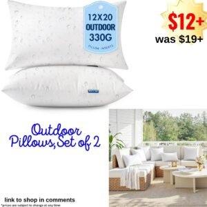 Outdoor Pillows,Set of 2