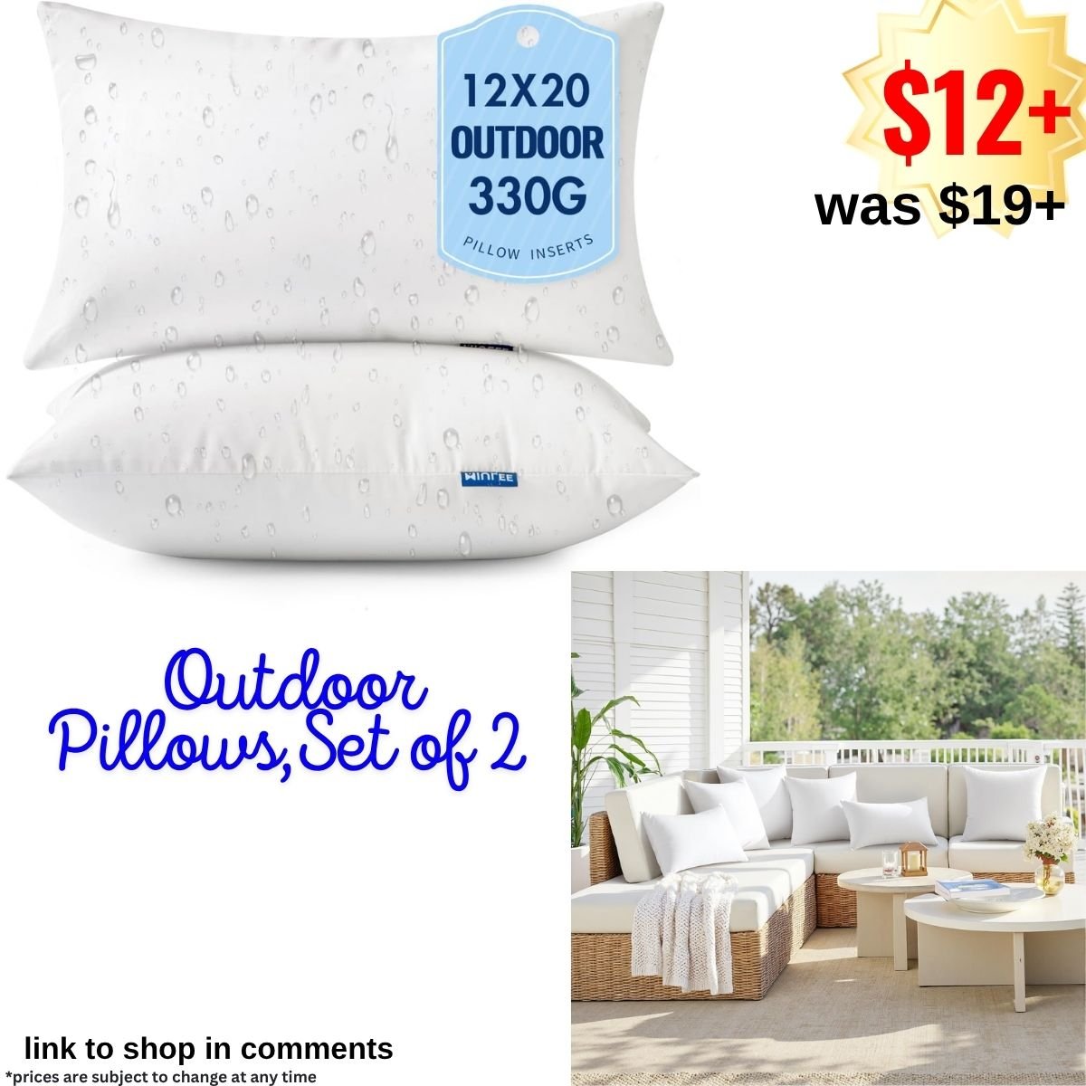 Outdoor Pillows,Set of 2