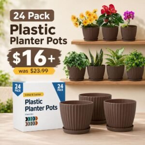 6-Inch Plant Pots