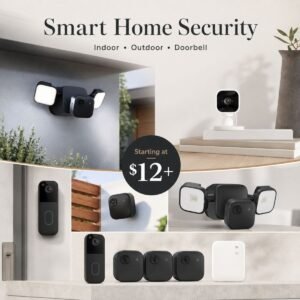 Blink Security Systems