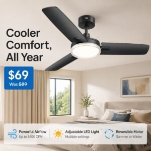 Ceiling Fan with Lights