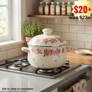 Enamel Stockpot