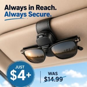 Sunglass Holder for Car