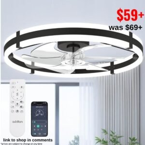 24'' Ceiling Fans with Lights and Remote,