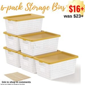 Storage Bins