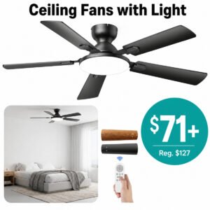 Ceiling Fans with Lights