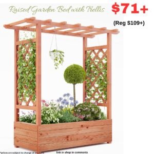 Wooden Raised Garden Bed with Trellis