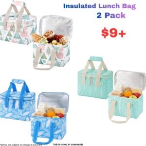 2 Pack Insulated Lunch Bag
