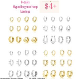 6-pairs Hypoallergenic Hoop Earrings |