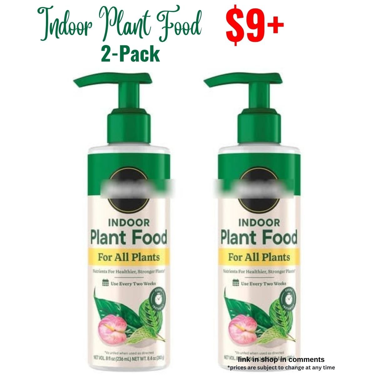 Indoor Plant Food