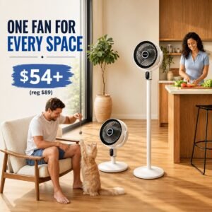 Standing Fan