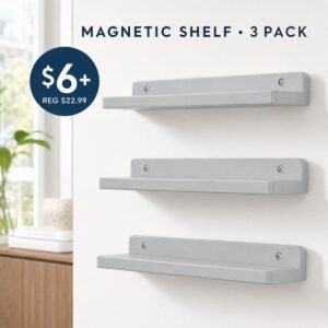 Shelf Magnetic
