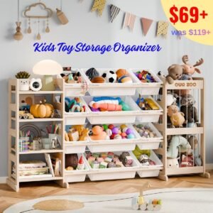 Kids Toy Storage Organizer