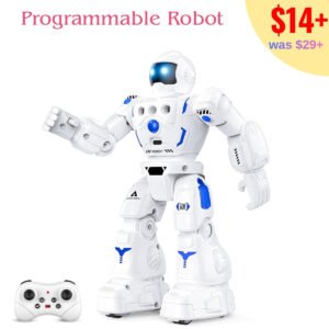 Programmable Remote Control Robot