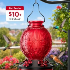Hummingbird Feeder