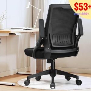 Ergonomic Office Chair