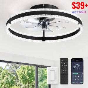 \Ceiling Fans with Light
