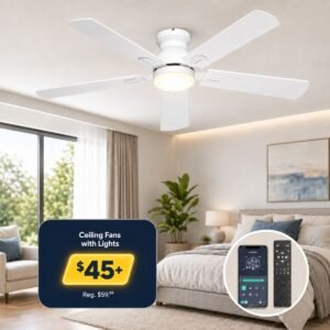 Ceiling Fans with Lights