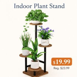 Plant Stand Indoor
