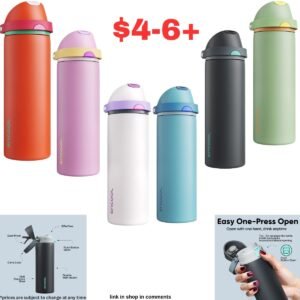 Stainless Steel Insulated Water Bottle with Straw
