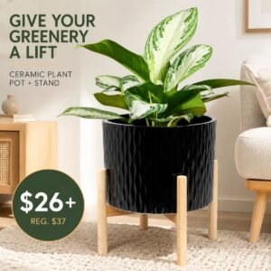 Ceramic Plant Pot with Stand