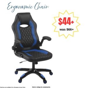Ergonomic Chair w/Lumbar Support