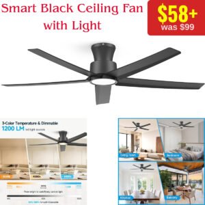 Smart Black Ceiling Fan
