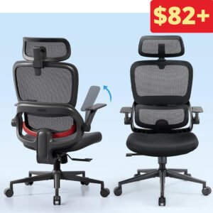 Ergonomic Office Chair