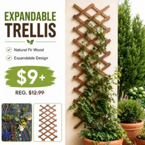 Trellis