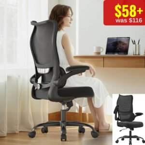 Ergonomic Desk Chair