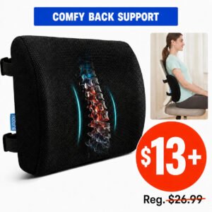 Lumbar Support Pillow