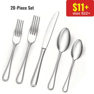 20 Piece silverware set