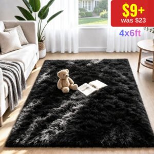 4x6 Area Rugs
