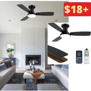 Smart Ceiling Fan with Light