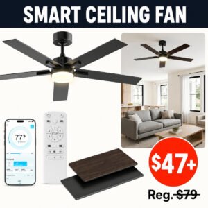 Ceiling Fan with Light
