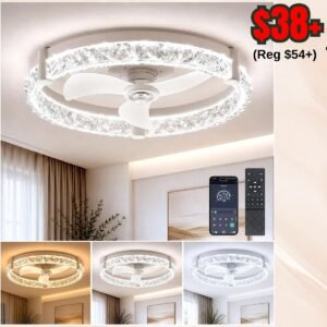 Ceiling Fans with Lights and Remote