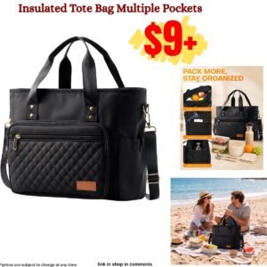 Insulated (Lunch) Tote Bag Multiple Pockets