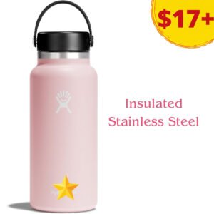 Insulated Stainless Steel Water Bottle