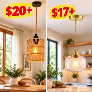 Pendant Light Fixture
